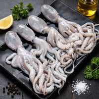 Frozen Long-Leg Octopus