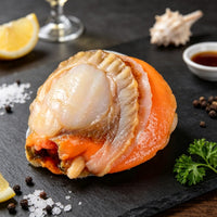 Frozen Scallop Meat