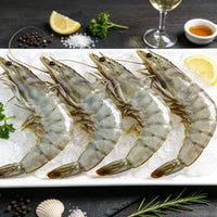 Large Size Frozen Ecuadorian Prawns